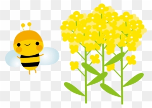5 菜の花のイラスト Illustration Free Transparent Png Clipart Images Download 5 菜の花のイラスト Illustration Free Transparent Png Clipart Images Download