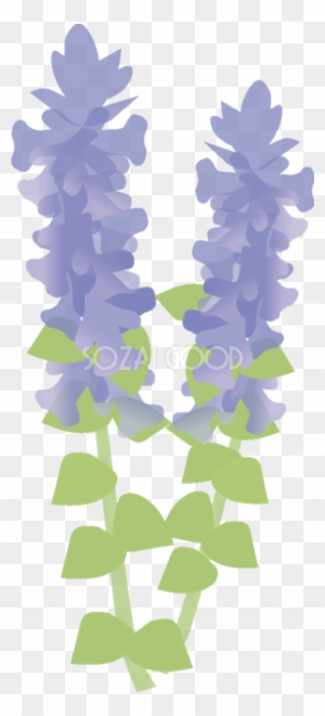 アジュガ 花の無料イラスト 春 Illustration Free Transparent Png Clipart Images Download アジュガ 花の無料イラスト 春 Illustration Free Transparent Png Clipart Images Download