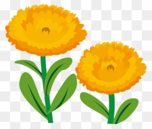 春の花1 15 キンセンカイラスト English Marigold Free Transparent Png Clipart Images Download 春の花1 15 キンセンカイラスト English Marigold Free Transparent Png Clipart Images Download