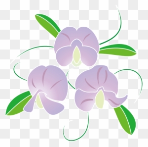 春の花2 06 スイートピーイラスト Sweet Pea Free Transparent Png Clipart Images Download
