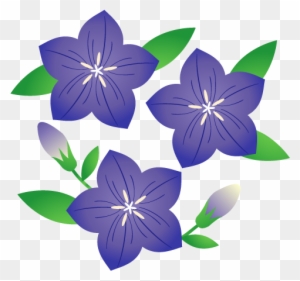 桔梗 イラスト Free Transparent Png Clipart Images Download