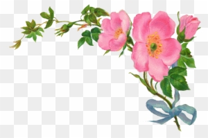 Country Vintage Floral Clipart - Vintage Flower Border Png
