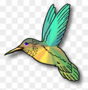 Hummingbird Animation - Bird Gif Transparent Background - Free Transparent  PNG Clipart Images Download