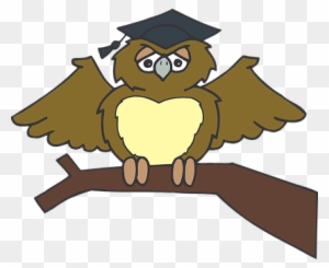 Owl Graduate Sitting Tree Branch Brown Wea - Owl Graduation Clip Art Png