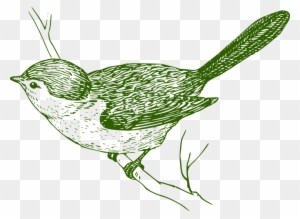 Free Bird Vector 29, Buy Clip Art - Bird On A Branch Sketch