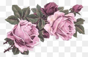 Rose Art, Vintage Flowers, Victorian Flowers, Rose - Vintage Pastel Flower Png