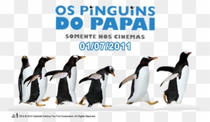 Mr Popper's Penguins Movie Poster