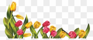 Spring Bottom Borders Clipart - Tulips Png