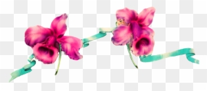 Digital Flower Border Design - Digital Flowers Border Design