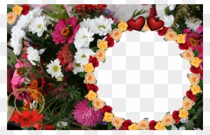 Flower Shop Flowers Photo Frames Designs - Flower Hd Photo Frame