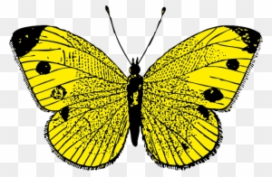 Yellow Butterfly Clip Art At Clker Com Vector Clip - Butterfly Yellow
