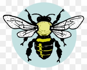 Little Bee Clip Art At Clkercom Vector Online - Parts Of Honey Bee