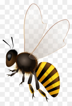 Bees ผึ้ง - Honey Bees Png