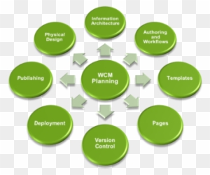 Web Content Management System - Diagram Of Consumer Right