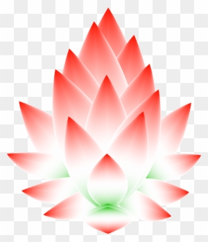 Lotus Flower Blossom Abstract Png Image - Sacred Lotus