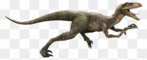 Which Jurassic World Dinosaur Are You - Jurassic Park Velociraptor