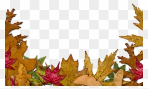 Autumn Leaves Border Png