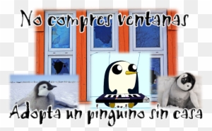 Oghdzp0 - La Marcia Dei Pinguini - Il Richiamo (dvd)