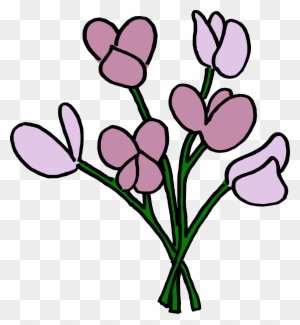 Sweet Peas - Sweet Pea - Free Transparent PNG Clipart Images Download