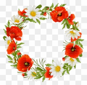 Cadre Coquelicot Deco Frame Poppy Flowers - Wreath Of Flowers Clipart