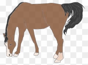 Brown Horse Clipart Transparent Png Clipart Images Free Download Page 2 Clipartmax