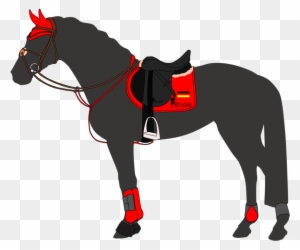 horse jumping equipment