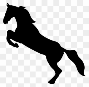 Horse Standing On Back Paws Vector - Horse Icon Png