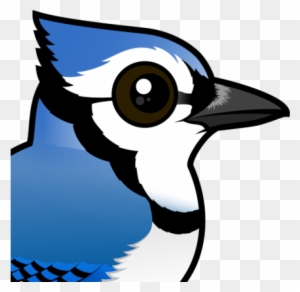 Blue Jay Blue Jay Bird Transparent Free Transparent Png Clipart Images Download Blue Jay Blue Jay Bird Transparent Free Transparent Png Clipart Images Download