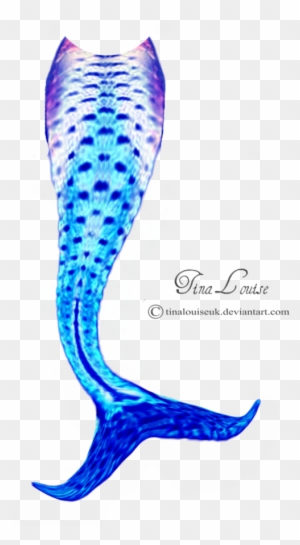 Best Mermaid Tail Fins Vector Image - Mermaid Tail Vector Free