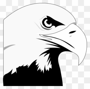 Free Eagle Clip Art Black And White - Bald Eagle Head Png