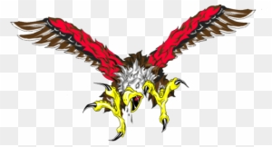 Eagle Logo Design Colored
