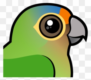 Also Known As - Golden Capped Conure Cartoon