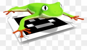 *you Can Check An Interactive 3d Model Here - Green-eyed Tree Frog