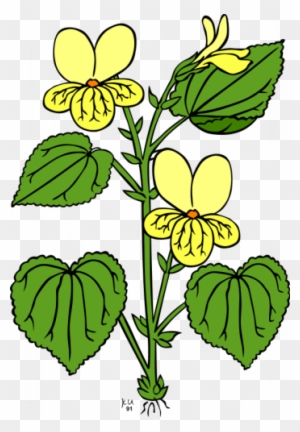 Org/en/free Clipart/viola - Plant With Leaves And Flowers