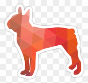 Boston Terrier Dog Colorful Geometric Pattern Silhouette - Alaskan Klee Kai