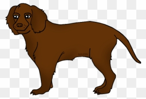 State Dog Of Wisconsin - American Water Spaniel Clipart