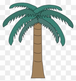 Ian Symbol Arecaceae2 - Palm Trees