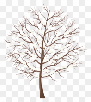 Tree Clipart Winter - Winter Tree Transparent