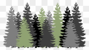 Forest Trees Evergreen Â - Clipart Forest