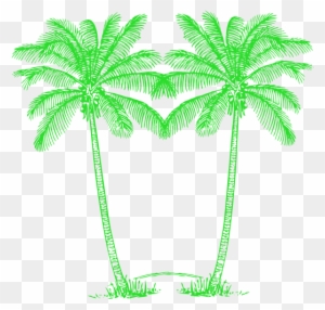 Double Green Palm Tree Image - Green Palm Tree Png