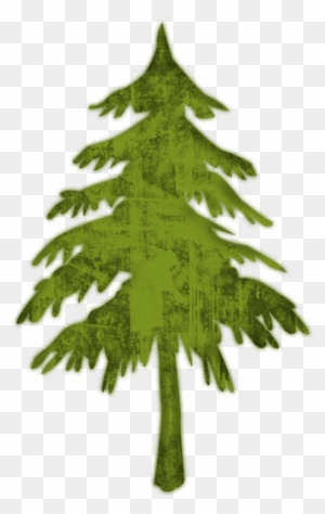 Evergreen Or Fir Tree 2 Icon - Pine Tree Icon Png