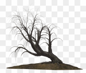 Creepy Tree 21 By Wolverine041269 On Clipart Library - Creepy Trees Png