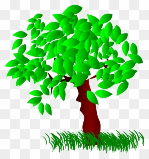 Clipart Tree Leaves - Trees And Leaves Clipart