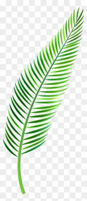 Palm Sunday Clipart - Palm Leaf Watercolor Png