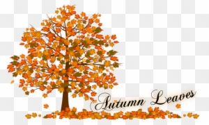 Autumn Tree Clip Art - Fall Leaves Clip Art