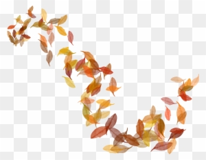 Autumn Leaf Color Clip Art - Autumn Leaves Transparent