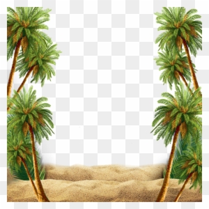 Summer Beach Scene With Palm Tree, Summer, Beach, Palm - All Is Forgiven, When Rooted In Love
