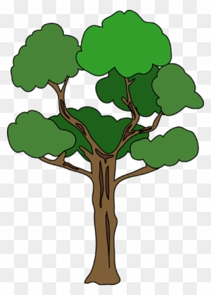 Tree 木 イラスト 背景 なし Free Transparent Png Clipart Images Download