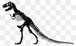 Powerpoint Template 2 Dinosaur Skeletons With Bones - Dinosaur Skeleton Clip Art