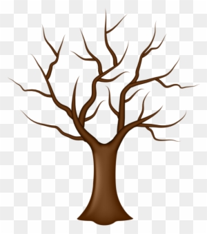 Tree Without Leaves Clipart - Tree No Leaves Clipart